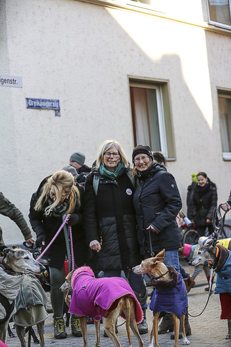 Galgo Marsch Köln 2025 338.jpg