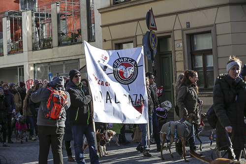 Galgo Marsch Köln 2025 191.jpg