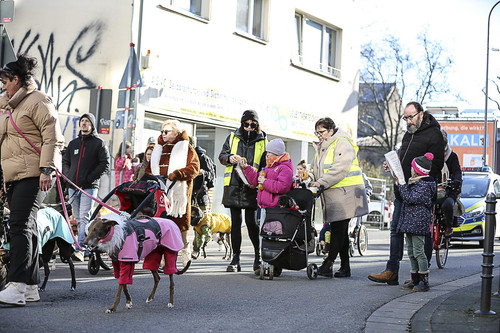 Galgo Marsch Köln 2025 630.jpg