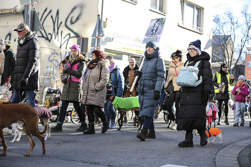 Galgo Marsch Köln 2025 627.jpg