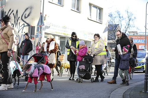 Galgo Marsch Köln 2025 631.jpg