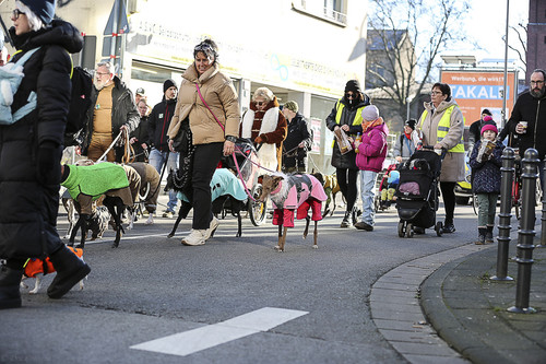 Galgo Marsch Köln 2025 628.jpg