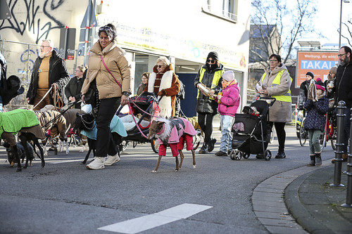 Galgo Marsch Köln 2025 629.jpg
