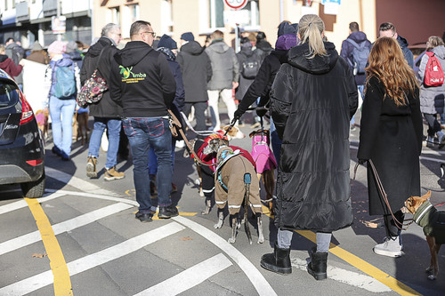 Galgo Marsch Köln 2025 634.jpg