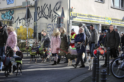 Galgo Marsch Köln 2025 493.jpg