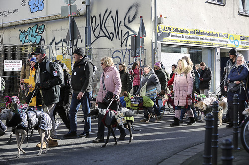 Galgo Marsch Köln 2025 491.jpg