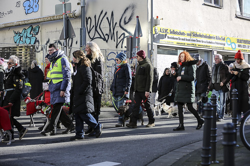 Galgo Marsch Köln 2025 503.jpg