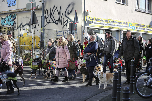 Galgo Marsch Köln 2025 494.jpg