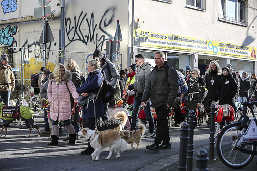 Galgo Marsch Köln 2025 496.jpg
