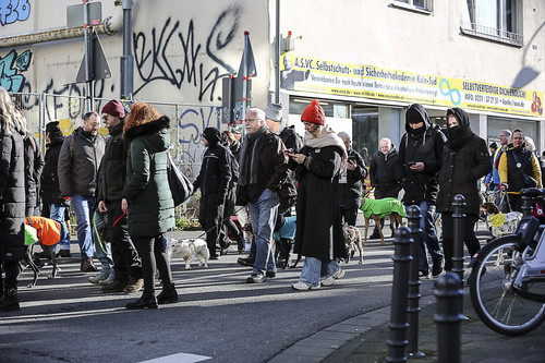 Galgo Marsch Köln 2025 504.jpg