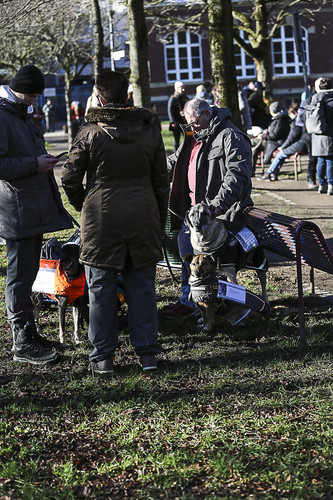 Galgo Marsch Köln 2025 58.jpg