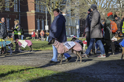 Galgo Marsch Köln 2025 76.jpg