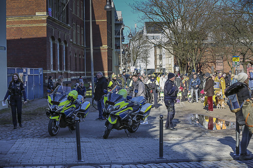 Galgo Marsch Köln 2025 97.jpg