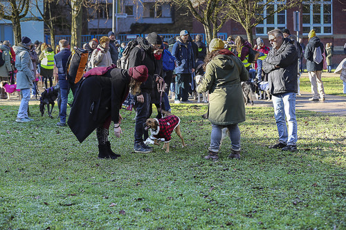 Galgo Marsch Köln 2025 87.jpg