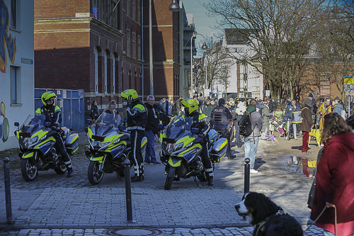 Galgo Marsch Köln 2025 95.jpg