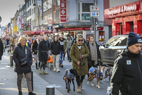 Galgo Marsch Köln 2025 369.jpg