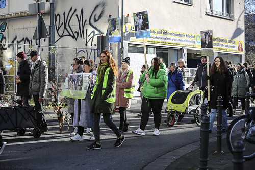 Galgo Marsch Köln 2025 541.jpg