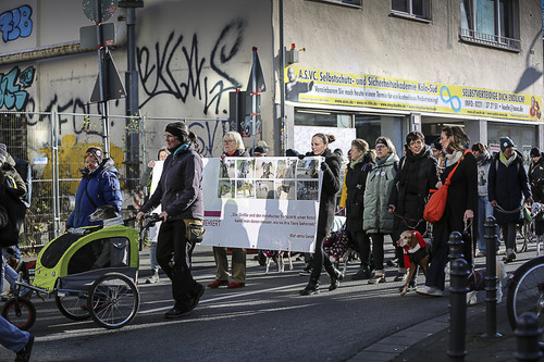 Galgo Marsch Köln 2025 545.jpg