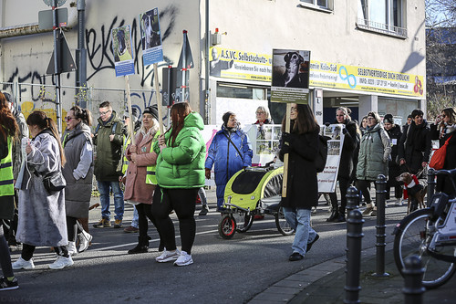 Galgo Marsch Köln 2025 542.jpg