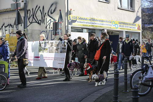 Galgo Marsch Köln 2025 546.jpg