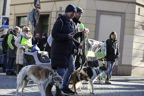Galgo Marsch Köln 2025 260.jpg