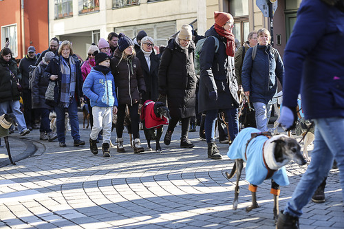 Galgo Marsch Köln 2025 233.jpg