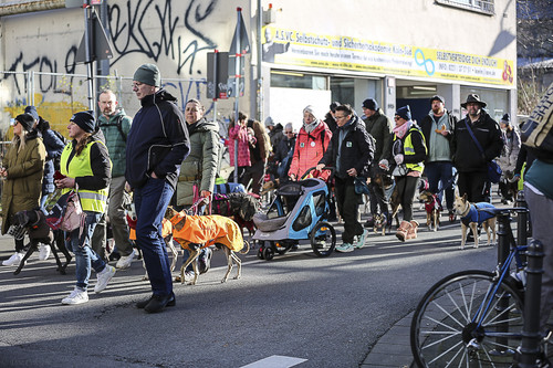 Galgo Marsch Köln 2025 553.jpg