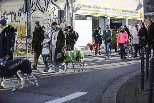 Galgo Marsch Köln 2025 550.jpg