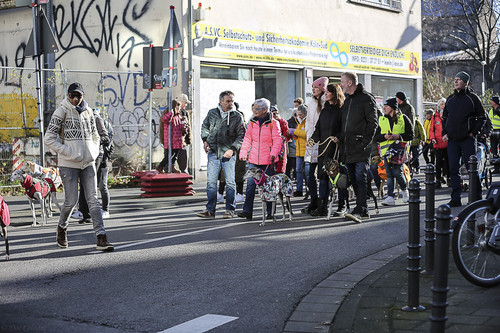 Galgo Marsch Köln 2025 551.jpg