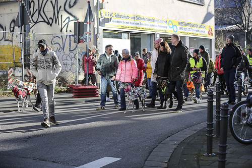 Galgo Marsch Köln 2025 552.jpg