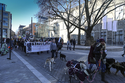 Galgo Marsch Köln 2025 671.jpg