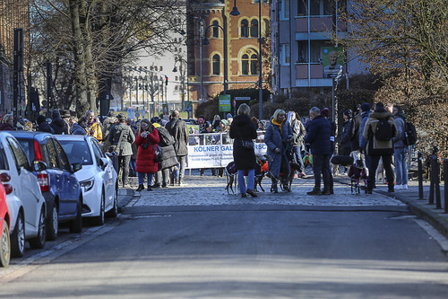Galgo Marsch Köln 2025 111.jpg