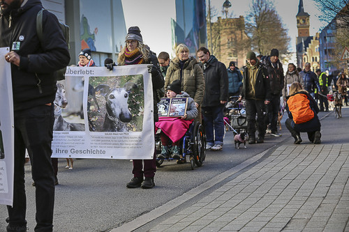 Galgo Marsch Köln 2025 128.jpg