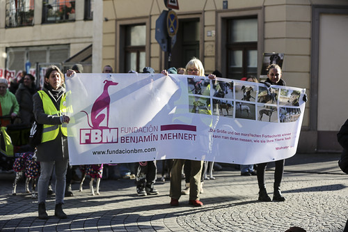 Galgo Marsch Köln 2025 272.jpg