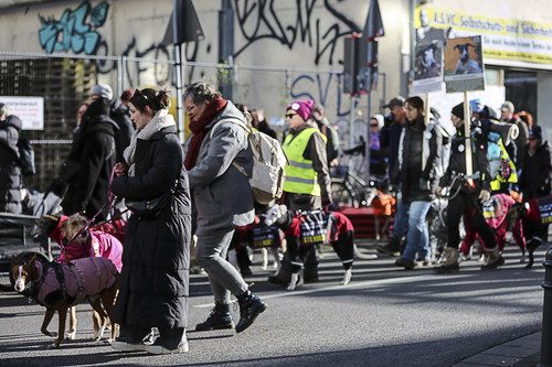 Galgo Marsch Köln 2025 439.jpg