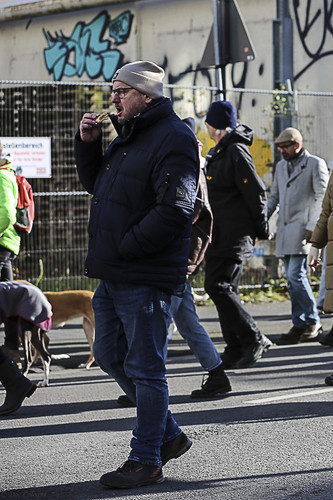 Galgo Marsch Köln 2025 429.jpg