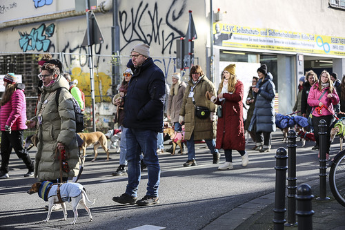 Galgo Marsch Köln 2025 428.jpg