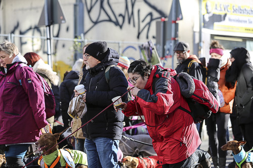 Galgo Marsch Köln 2025 426.jpg