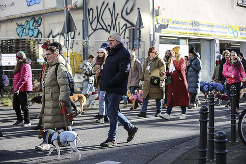 Galgo Marsch Köln 2025 427.jpg