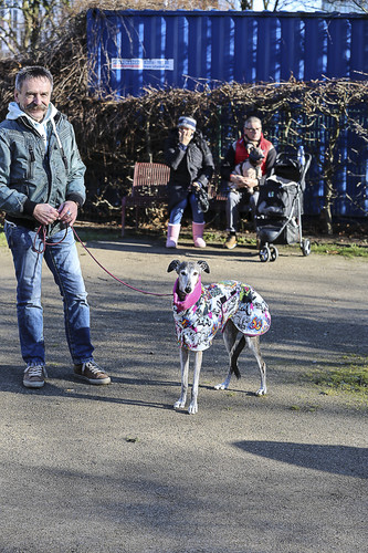 Galgo Marsch Köln 2025 19.jpg