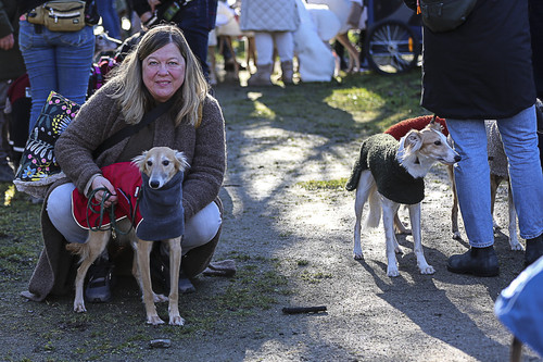 Galgo Marsch Köln 2025 7.jpg
