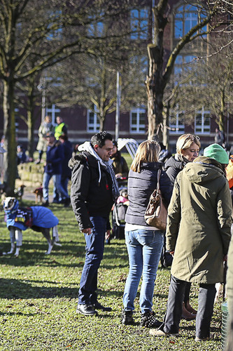 Galgo Marsch Köln 2025 8.jpg