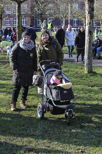 Galgo Marsch Köln 2025 25.jpg