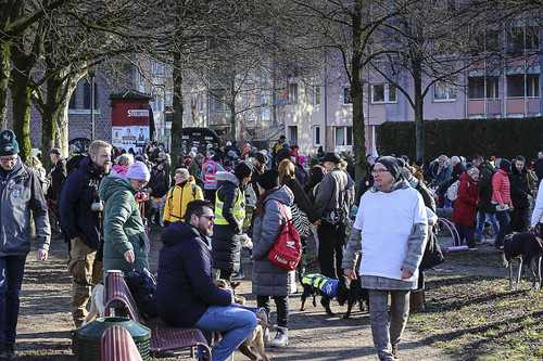 Galgo Marsch Köln 2025 35.jpg