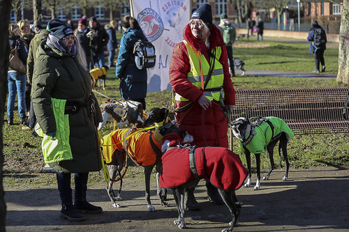 Galgo Marsch Köln 2025 11.jpg
