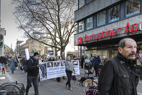 Galgo Marsch Köln 2025 673.jpg