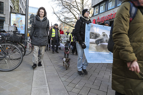 Galgo Marsch Köln 2025 679.jpg