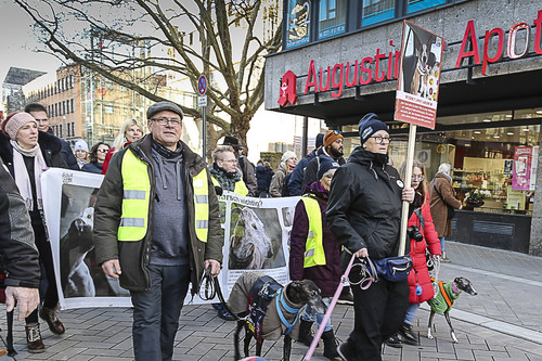 Galgo Marsch Köln 2025 681.jpg