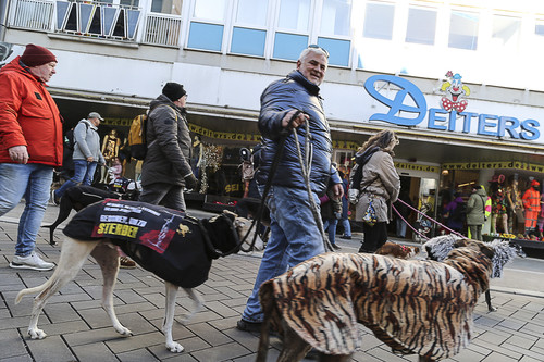 Galgo Marsch Köln 2025 703.jpg