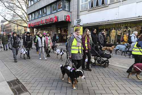 Galgo Marsch Köln 2025 721.jpg